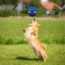 Bola Voadora Para Cães