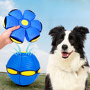 Bola Voadora Para Cães