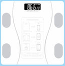 Balança Inteligente Fit