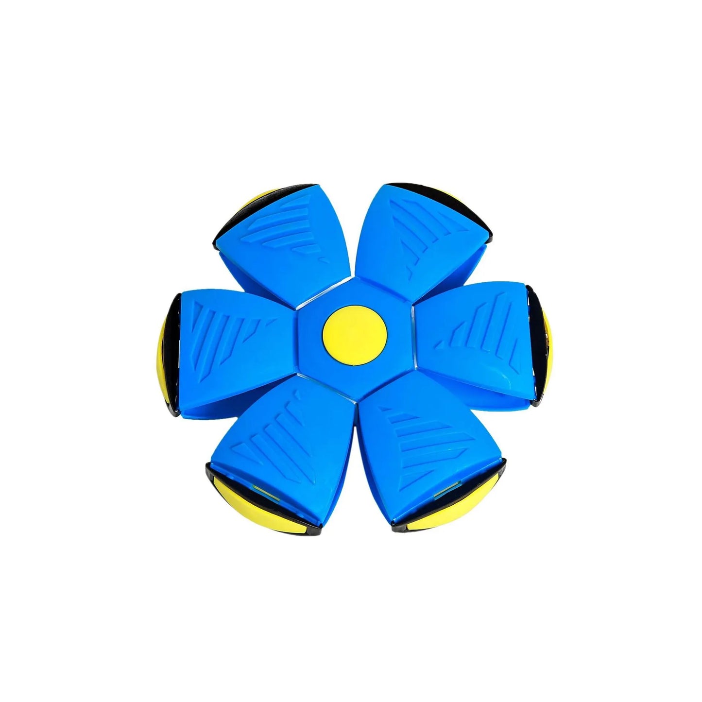 48080316465464